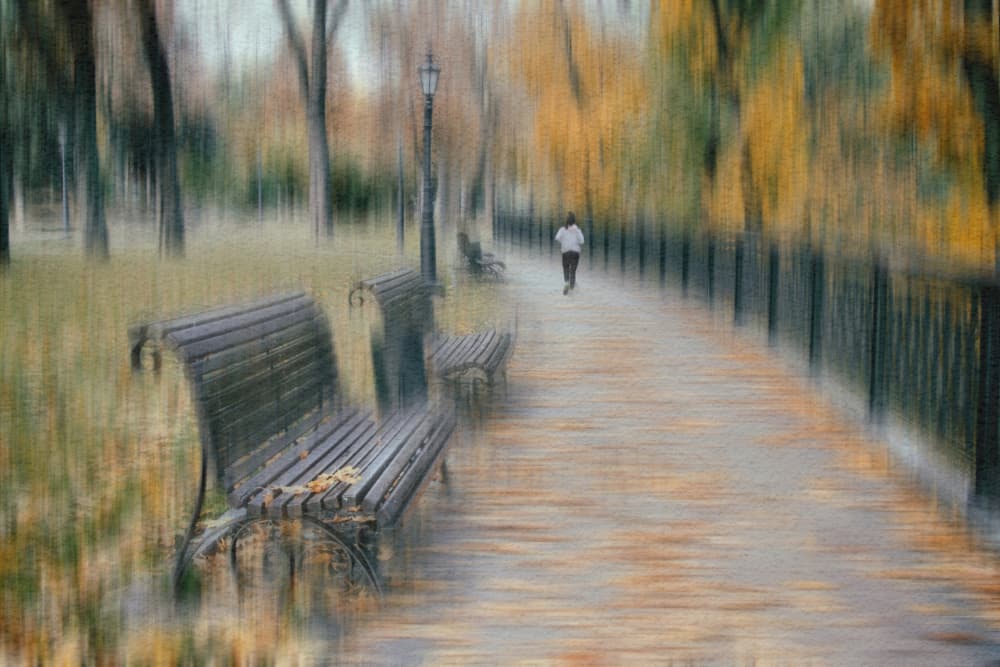 Autumn Path Jogger by Alexander Kiyashko — canvas wall art