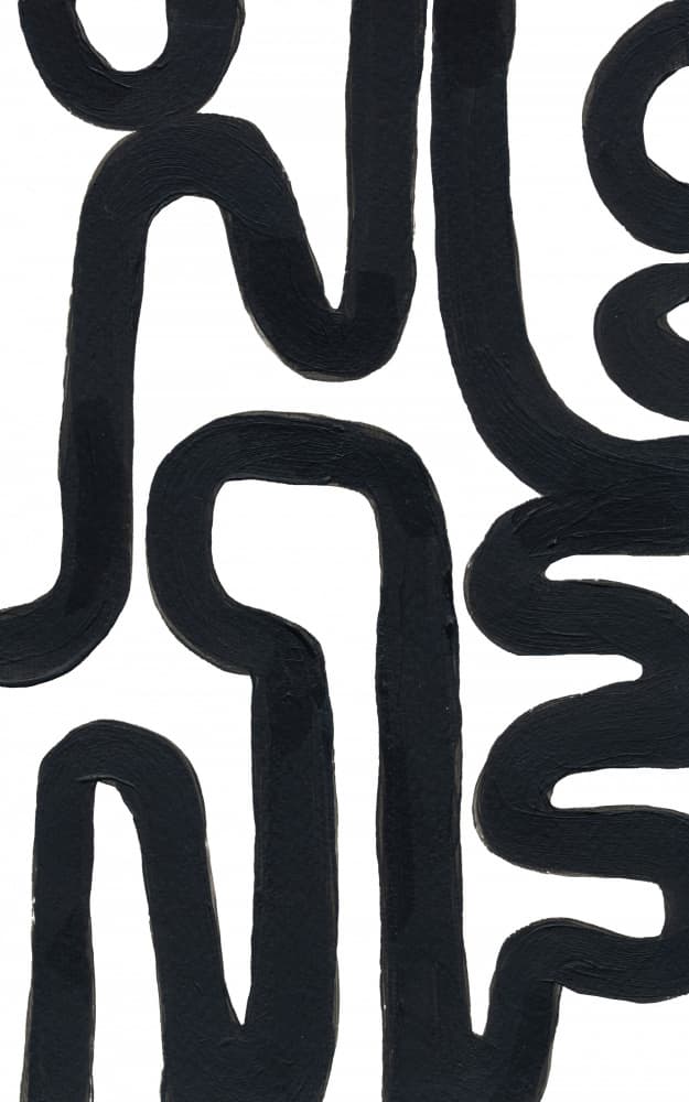 Winding Abstract Strokes by Bronwyn Baker — canvas wall art