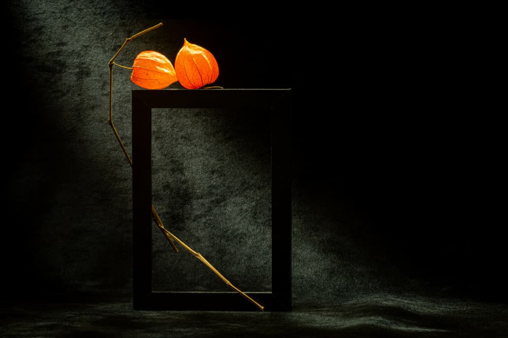 Glowing Physalis Frame by Igor Kopcev — canvas wall art