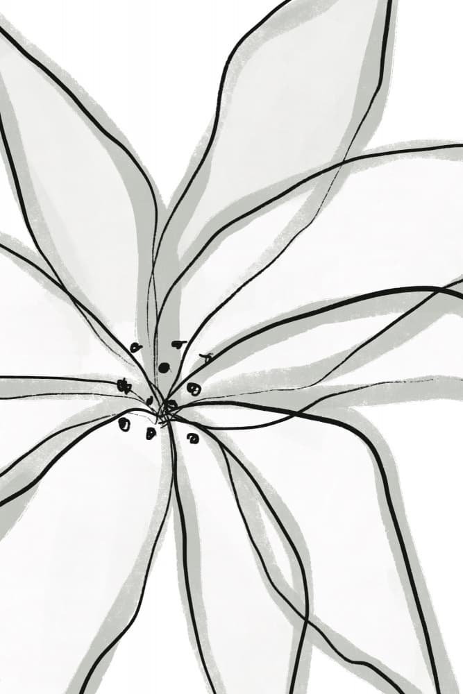 Delicate Flower Petals by uplusmestudio — canvas wall art