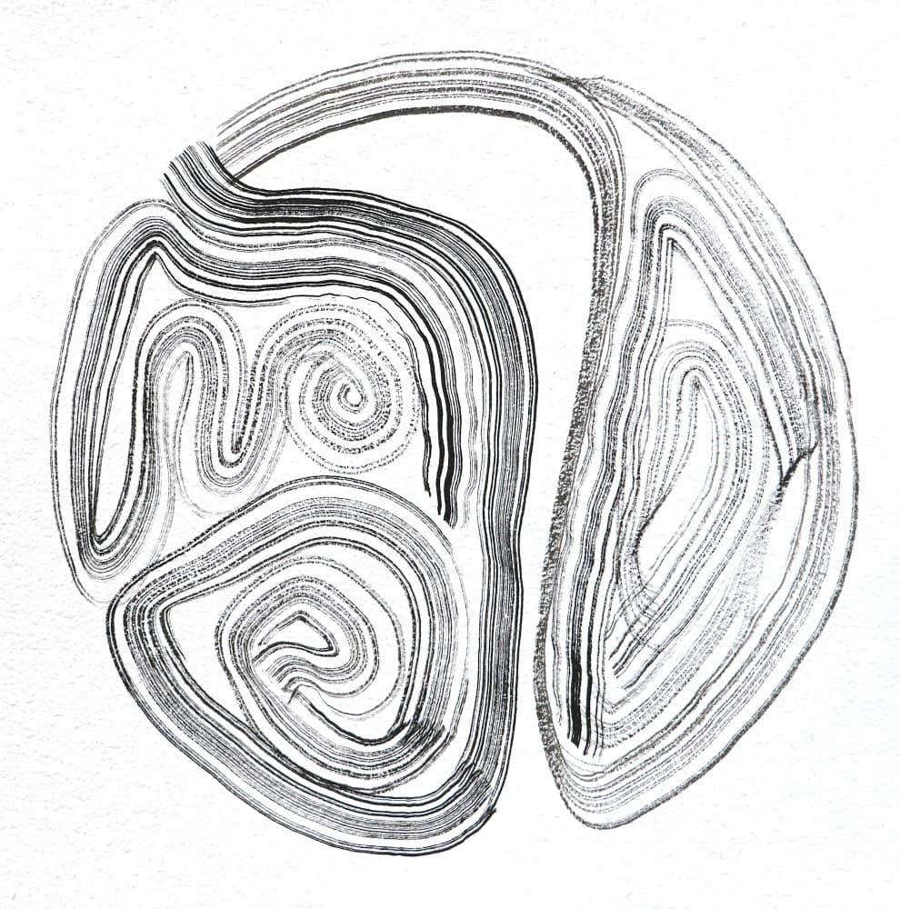 Fluid Abstract Form by Santhosh ch — canvas wall art