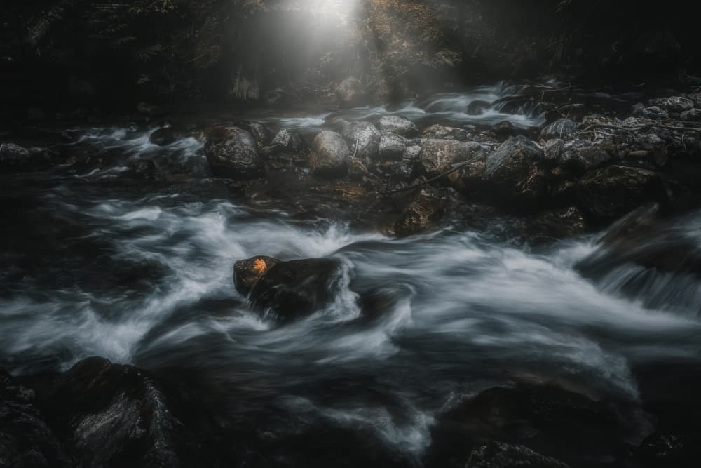 Sunlit Forest Stream by Alex Zhao — canvas wall art