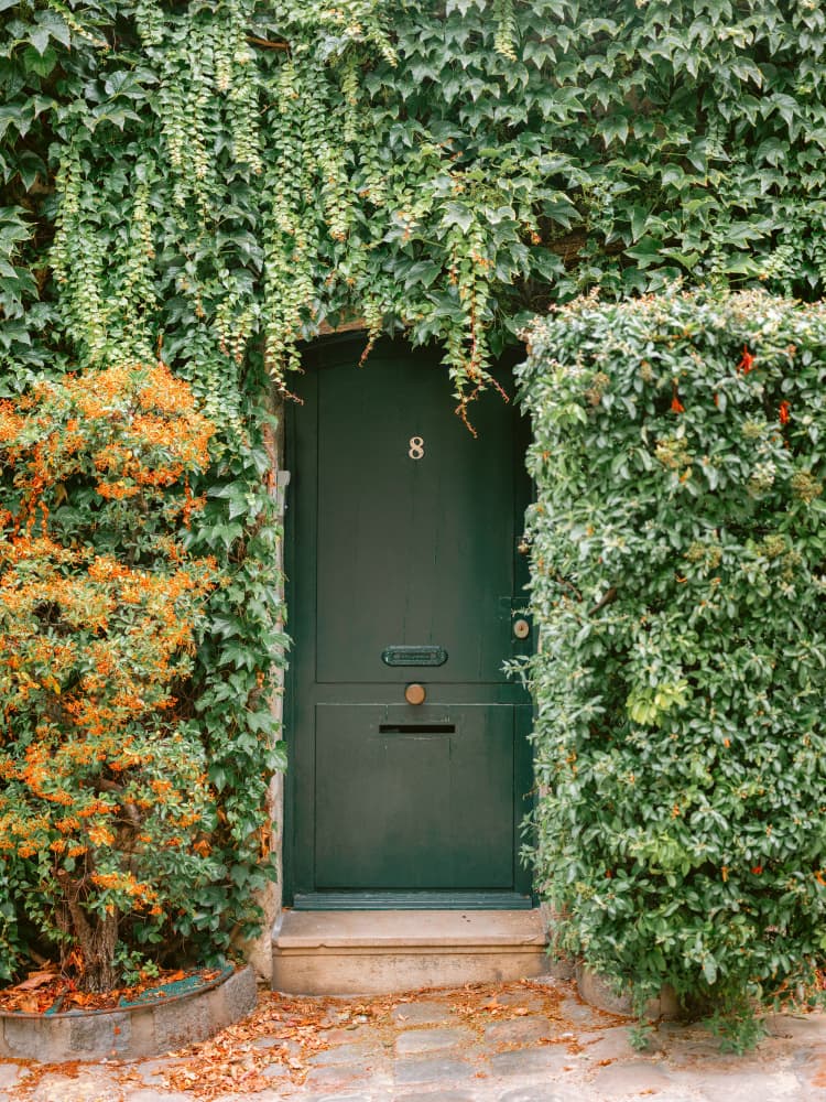 Ivy Covered House In Montmartre Paris by Raisa Zwart — canvas wall art
