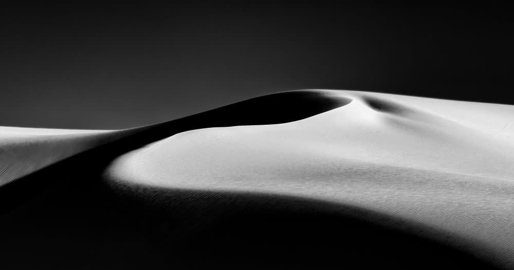 Desert Shadow Play by Rob Darby — canvas wall art