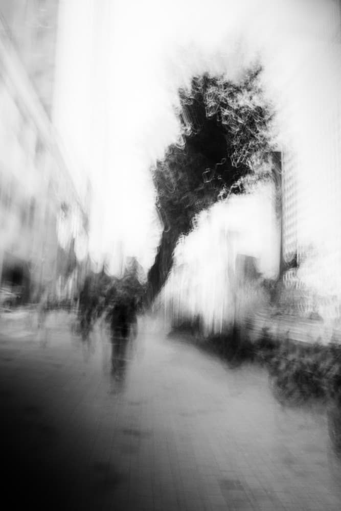 A tree by Swen MUN — canvas wall art