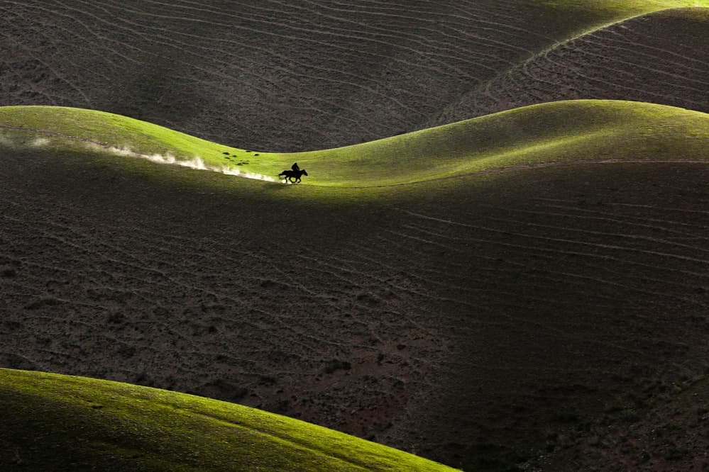 Galloping Horse Green Hills by UU — canvas wall art