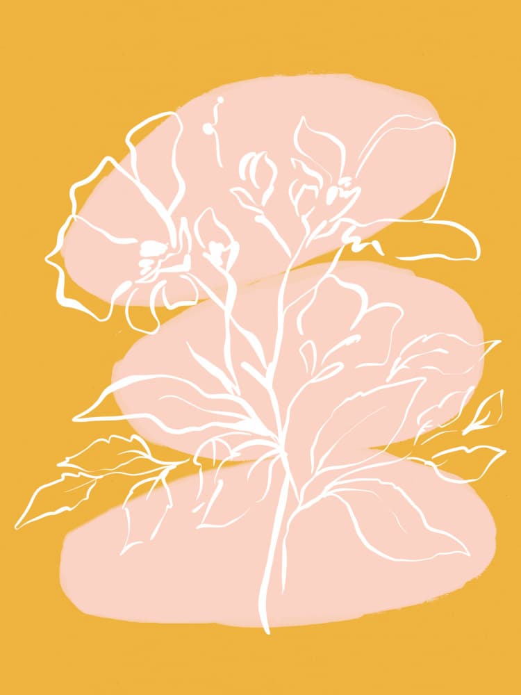 Petal Silhouettes by Treechild — canvas wall art