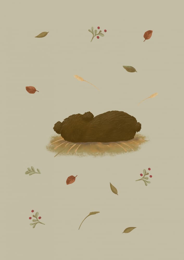 Cozy Sleeping Bear Cub by Aminah Eleonora — canvas wall art