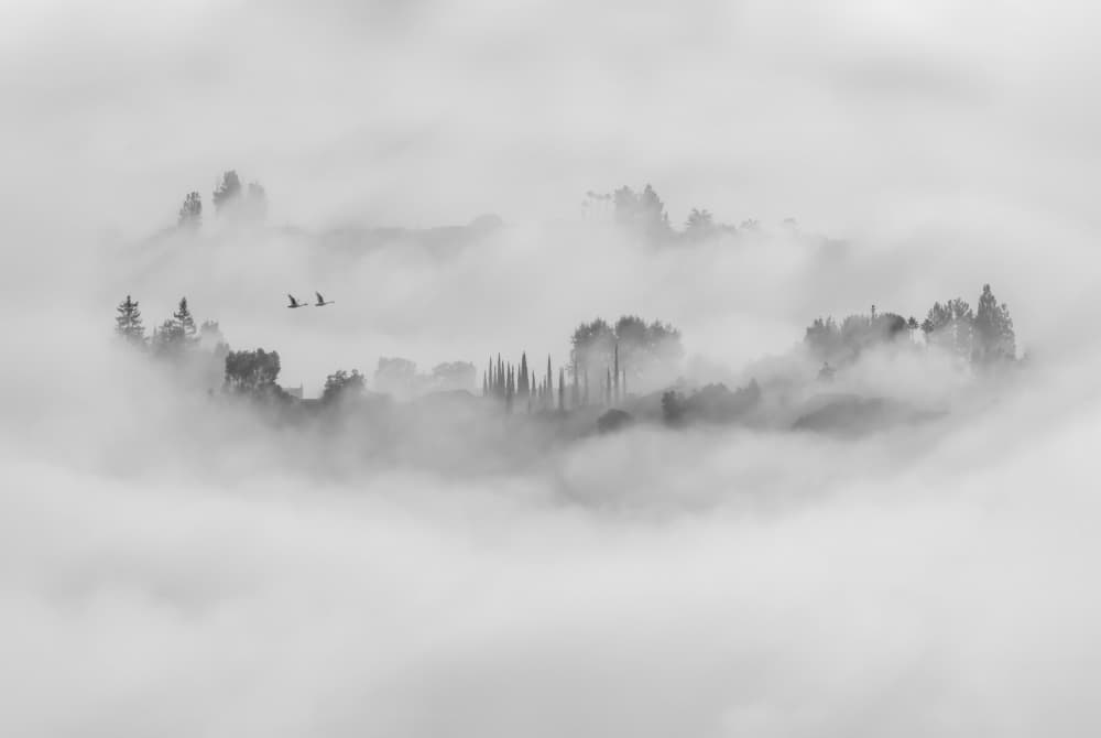 Misty Morning Hills by Jay Wang — canvas wall art