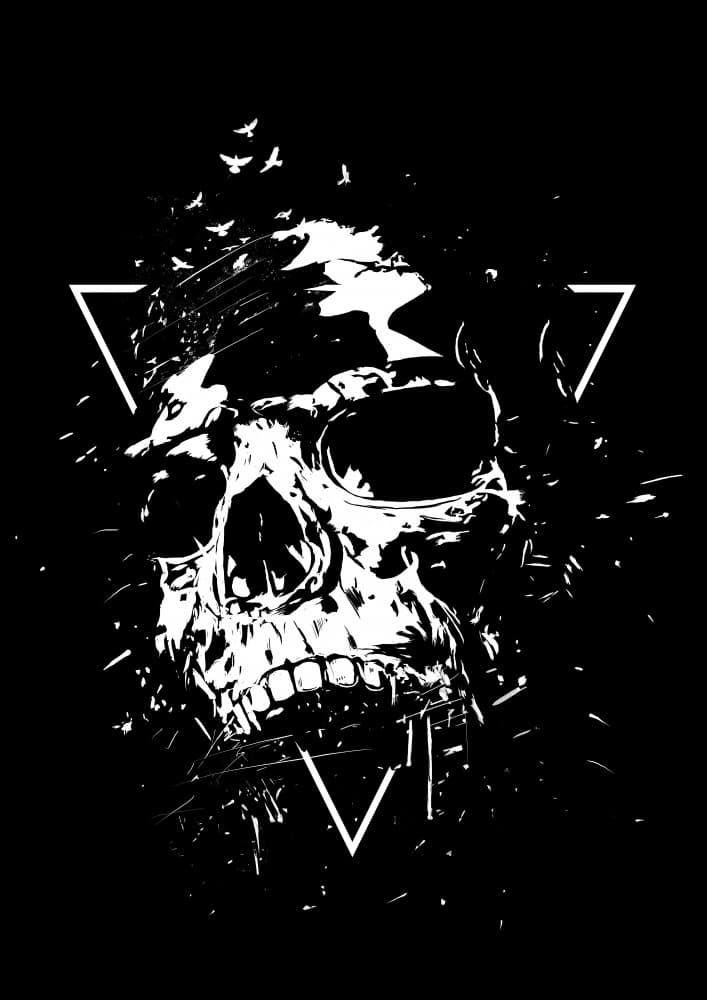 Abstract Skull Flight by Balazs Solti — canvas wall art