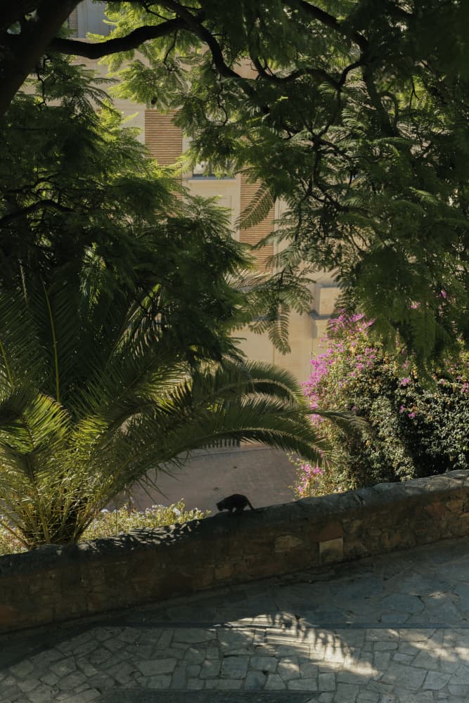 Sunlit Garden Wall Animal by Aimee Giles — canvas wall art