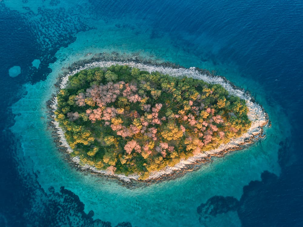 Tropical Island Aerial by Jure Kravanja — canvas wall art