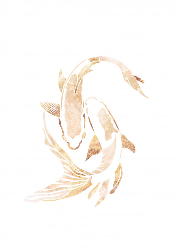 Golden Koi Flow by Sarah Manovski — canvas wall art