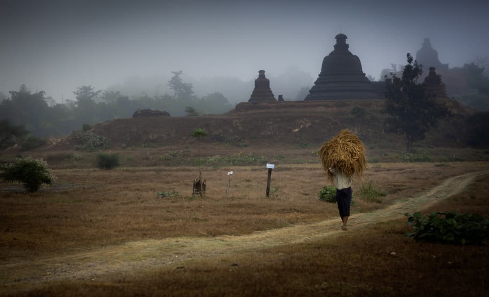 Misty Morning Temple Path by Clas Gustafson PRO — canvas wall art