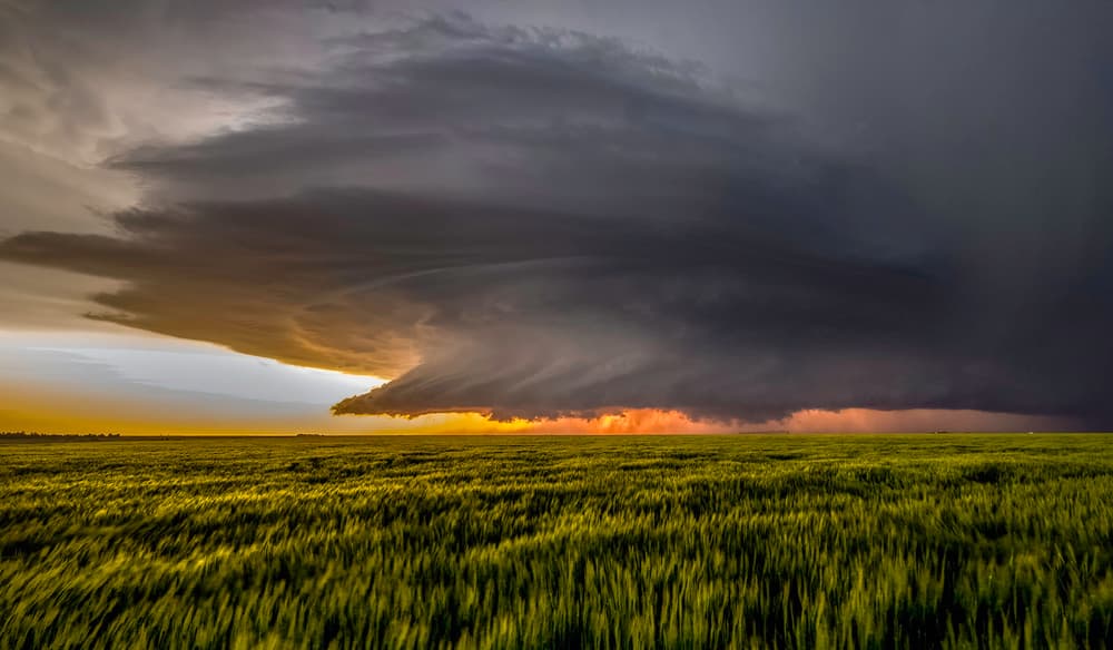 Supercell Sunset Field by Rob Darby — canvas wall art