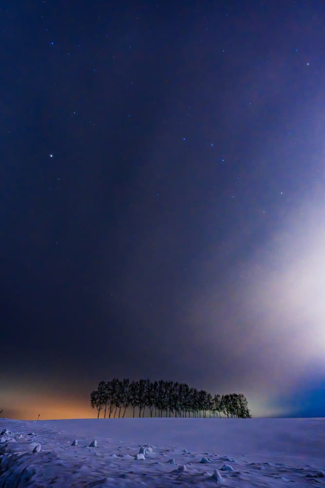 Winter Trees Night Sky by YusukeMatsumoto — canvas wall art