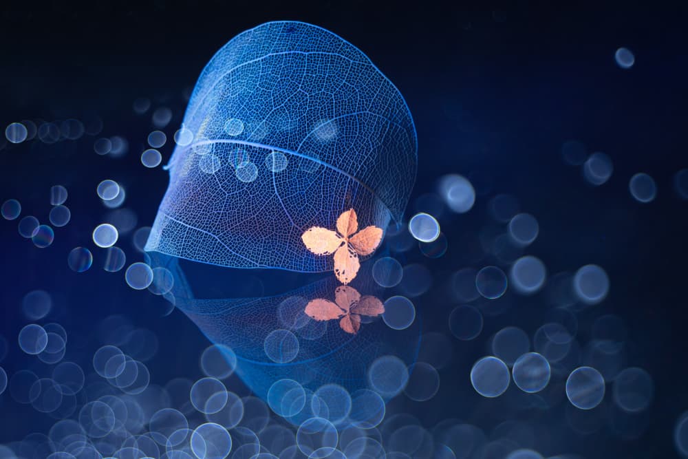 Ethereal Blue Leaf Glow by Igor Kopcev — canvas wall art