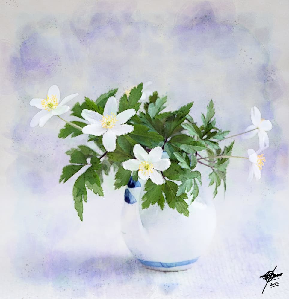 Delicate White Spring Flowers by Osvaldo Russo — canvas wall art