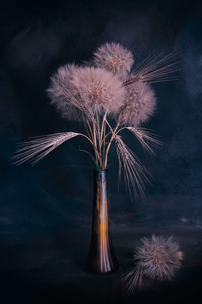 Muted Dandelions and Wheat by Cicek Kiral — canvas wall art
