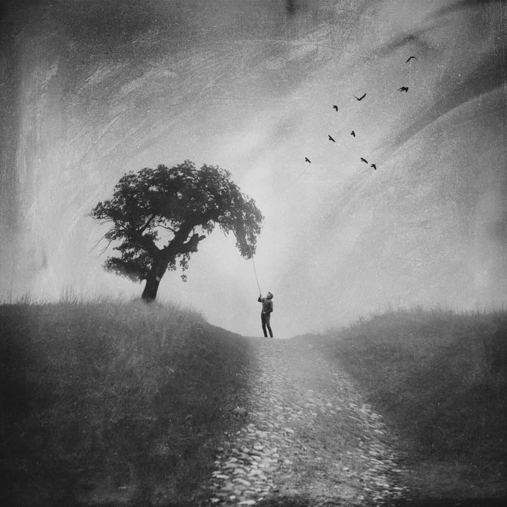 Man Tree Flying Birds by Todor Tanev — canvas wall art