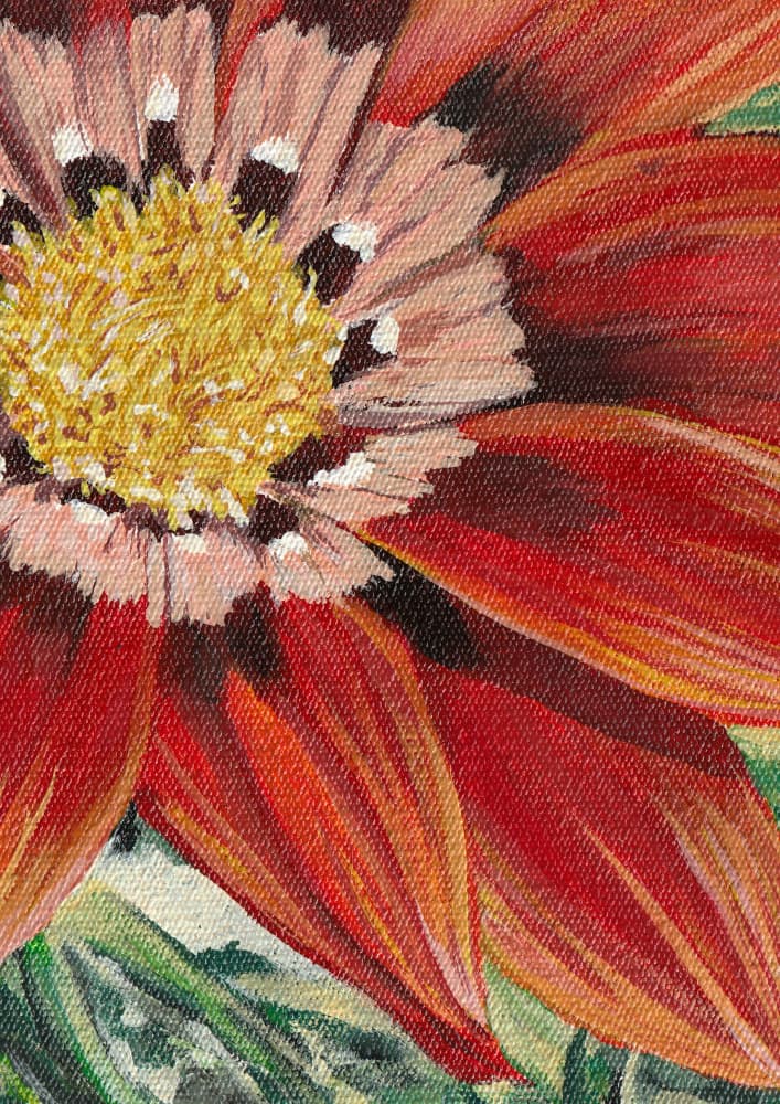 Vivid Red Flower by Viccy Wanliss — canvas wall art