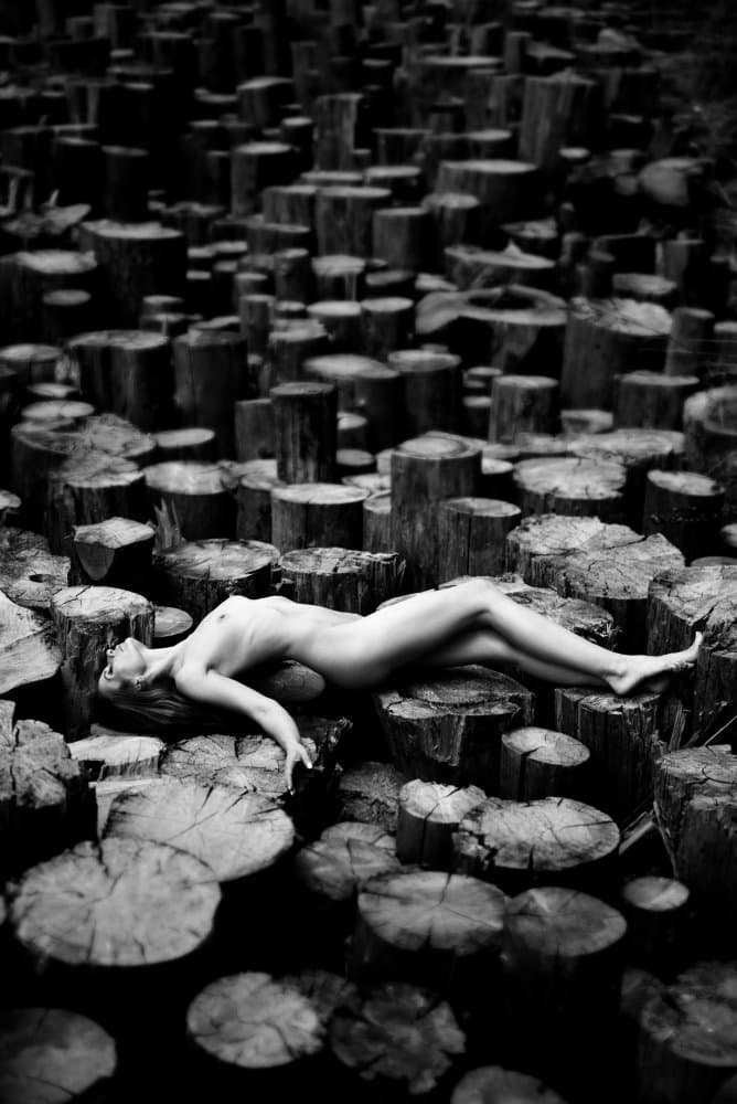 Serene Forest Nude by Leonid Markachev — canvas wall art