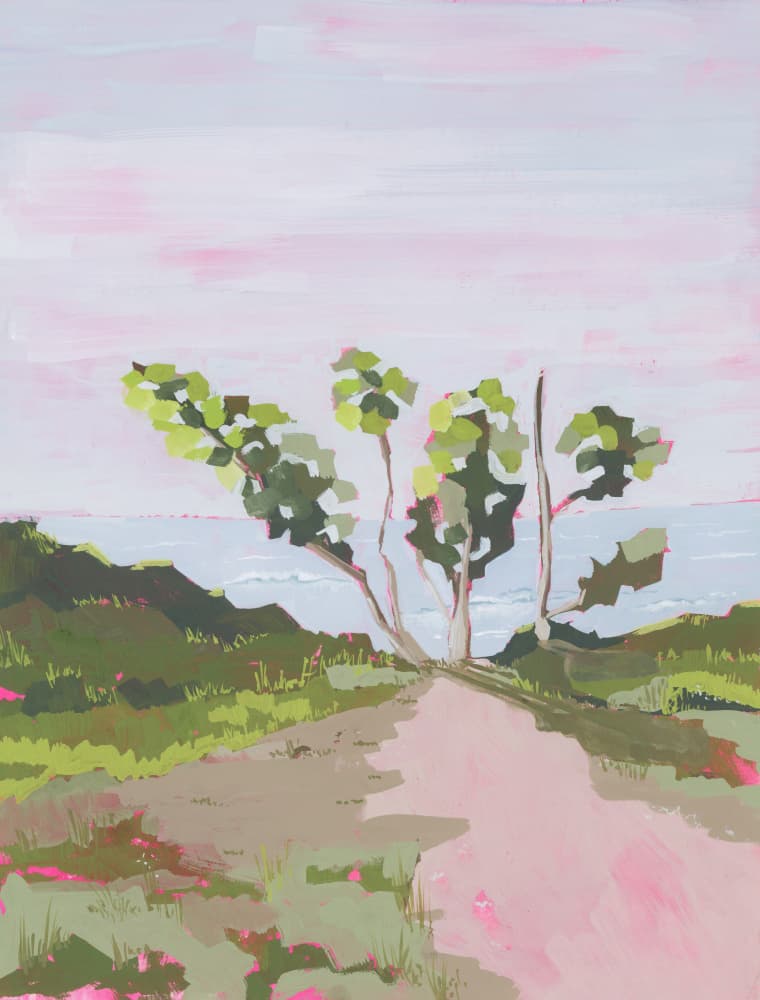 Pink Sky Coastal Path by Lucrecia Caporale — canvas wall art