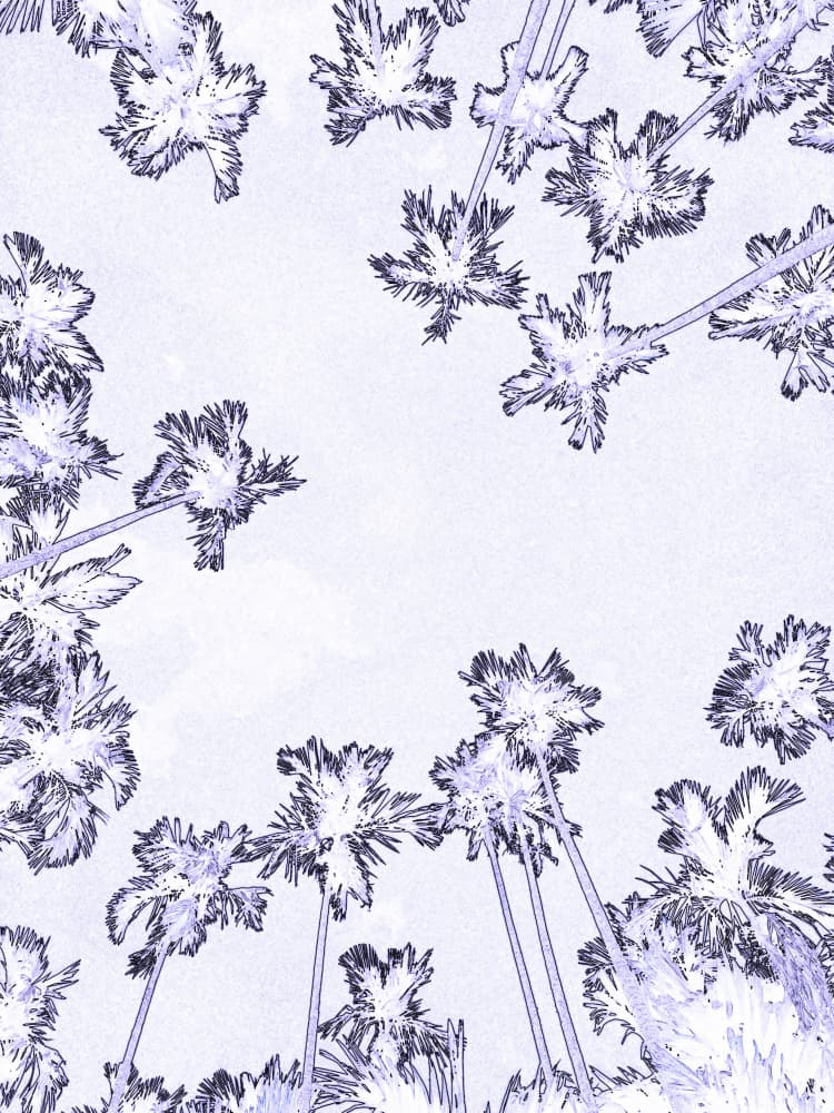 Dreamy Lavender Palms by Santhosh ch — canvas wall art