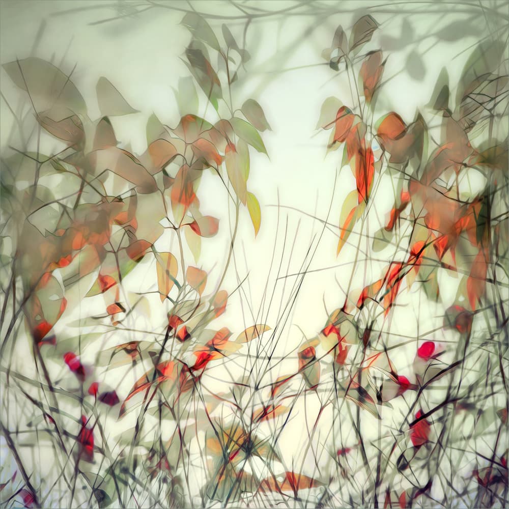 Ethereal Autumn Foliage by Gilbert Claes — canvas wall art