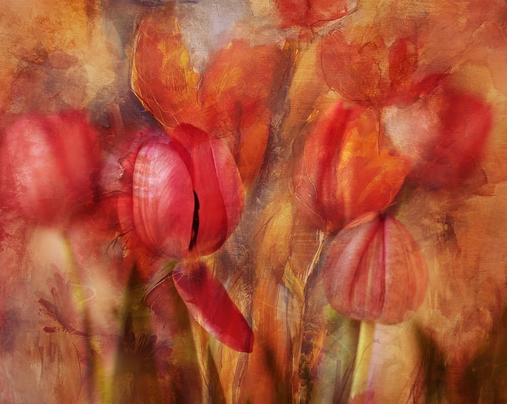 Painterly Red Tulips by Ellen van Deelen — canvas wall art