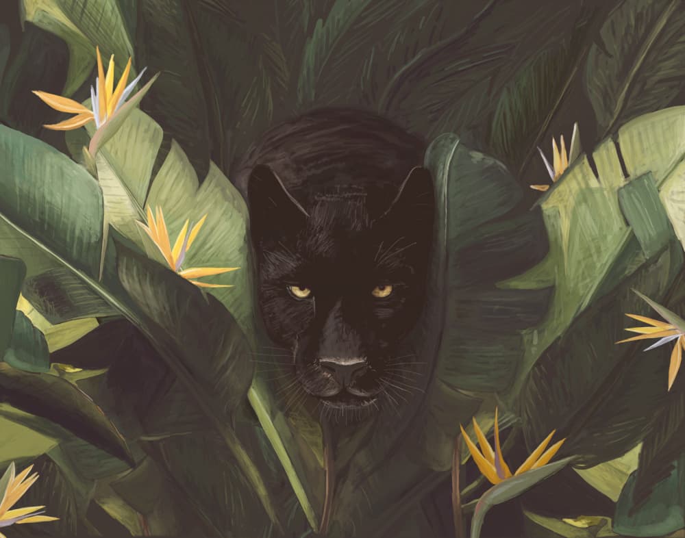 Black Panther Jungle Gaze by Florent Bodart — canvas wall art