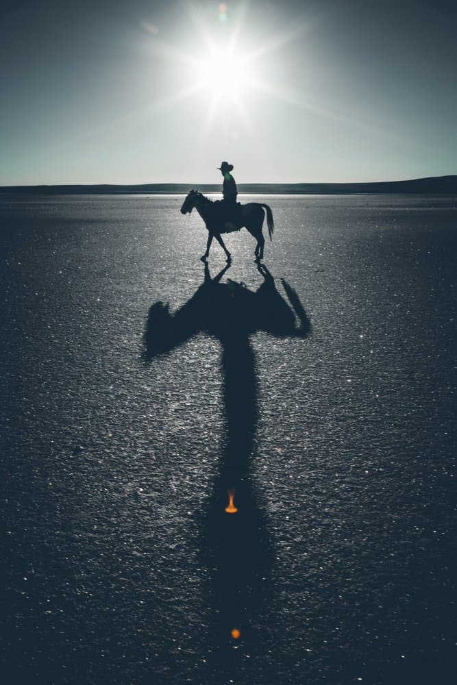 Lone Cowboy Journey by M. Emre Erol — canvas wall art