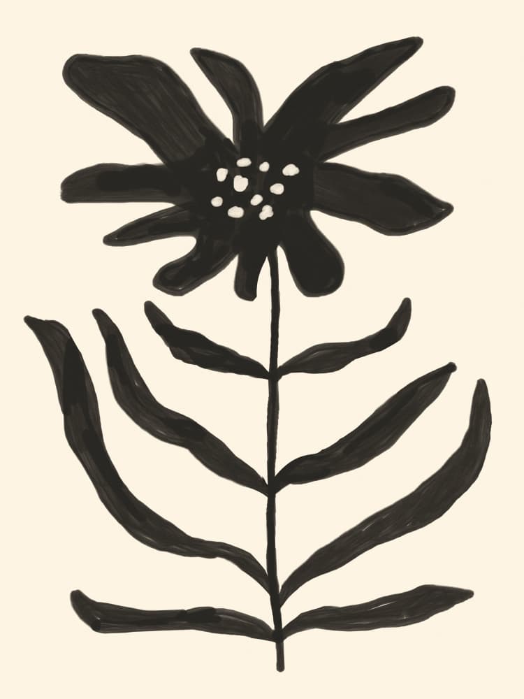 Monochrome Blossom by Treechild — canvas wall art