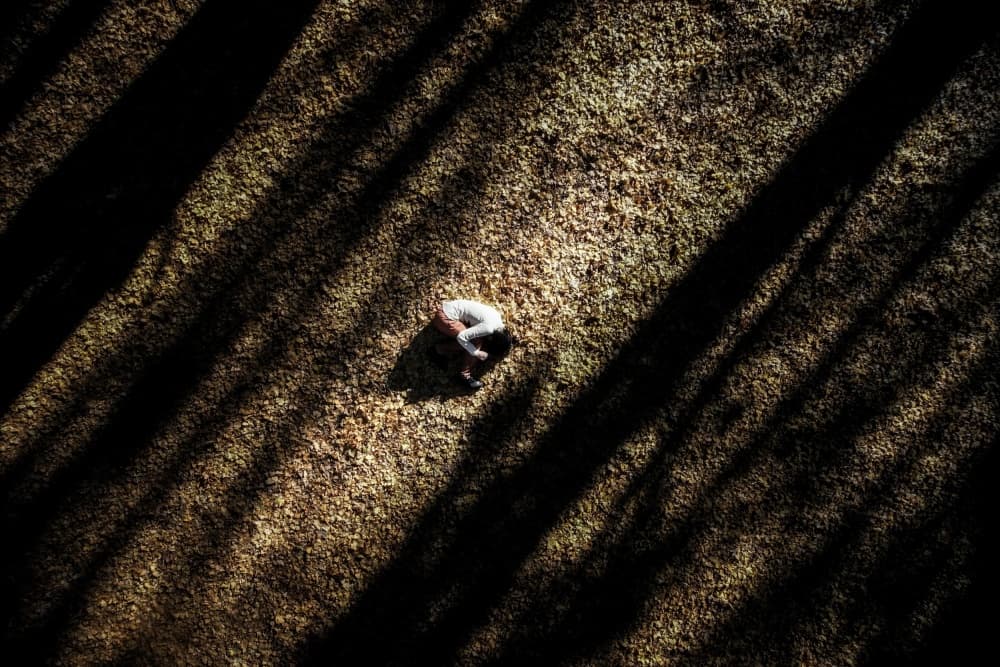 Curled In Shadows by Kouji Tomihisa — canvas wall art