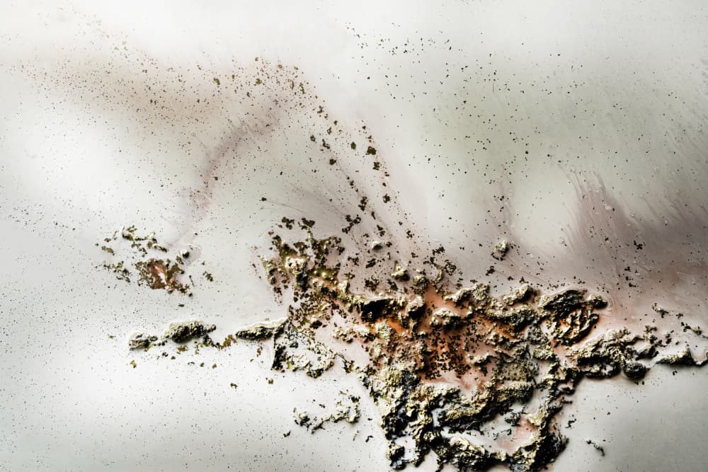 Coastal Luxe - Desert Dance by Petra Meikle de Vlas — canvas wall art