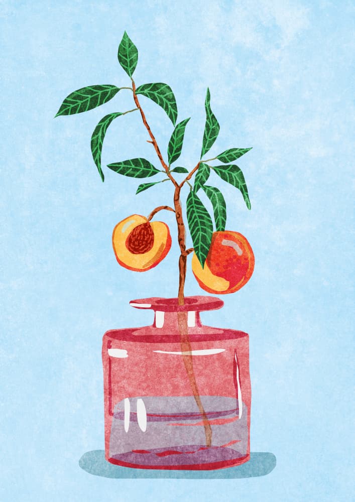 Peach Tree in Vase by Raissa Oltmanns — canvas wall art