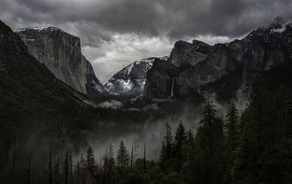 Misty Yosemite Valley by Ning Lin — canvas wall art