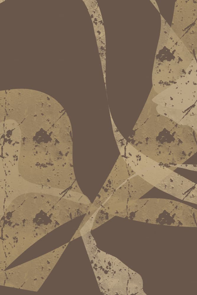 Earthy Abstract Shapes by Yuli Saputra — canvas wall art