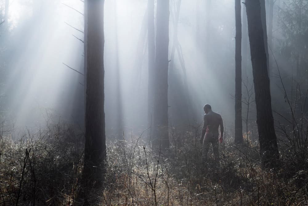 Man in Misty Forest by Leszek Paradowski — canvas wall art