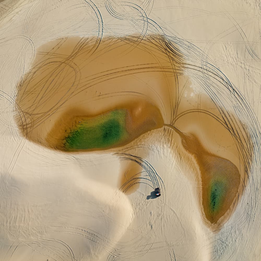 Desert Oasis Tracks by Shenshen Dou — canvas wall art