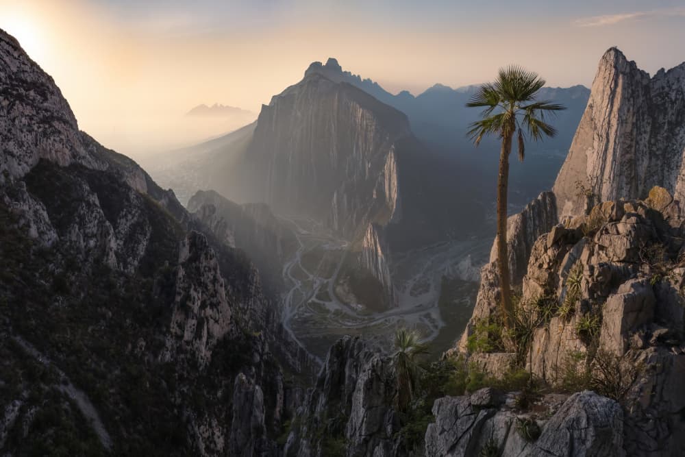 Palm Tree Mountain Sunrise by James Cai — canvas wall art
