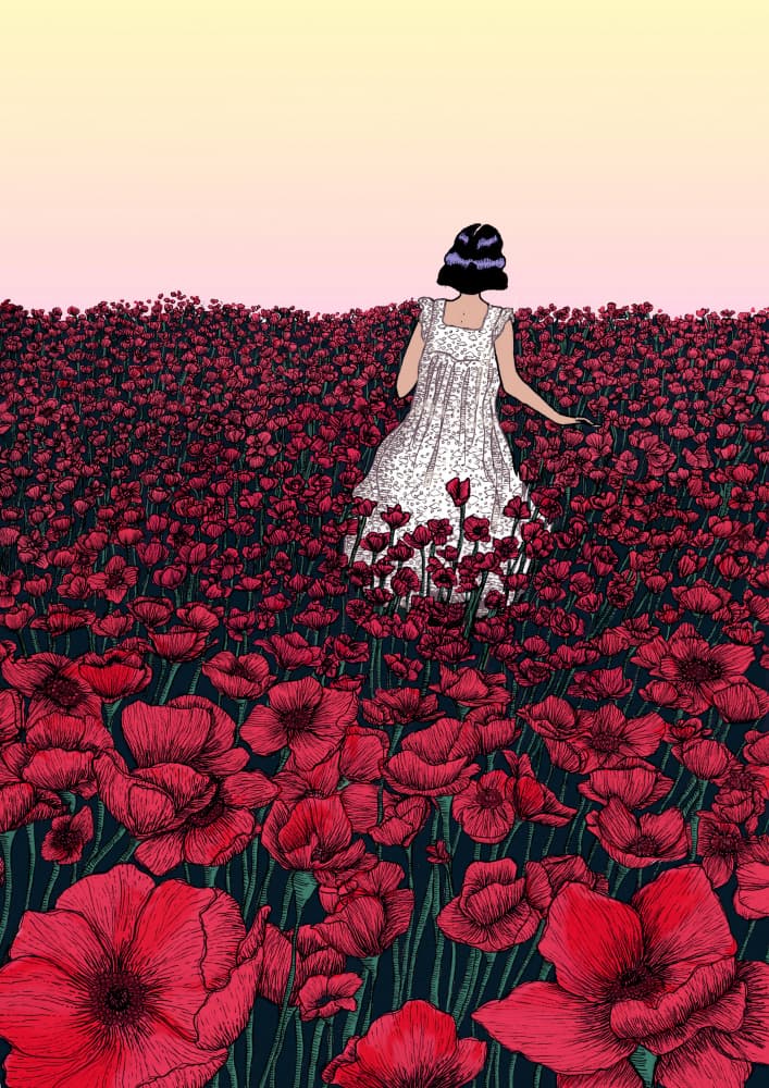 Woman in Poppy Field by EC Mazur — canvas wall art