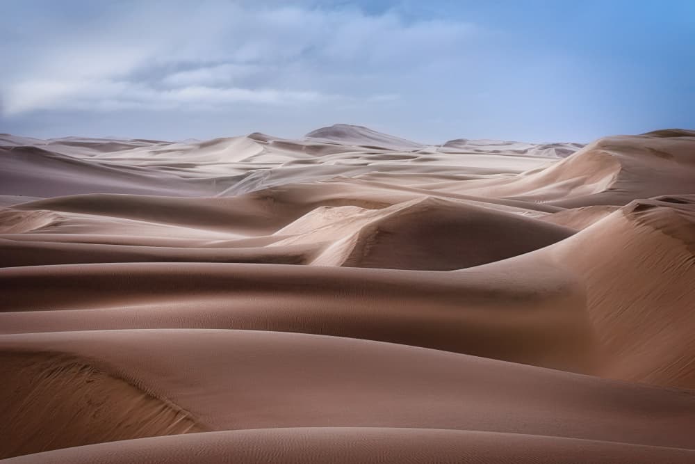 Endless Desert Dunes by Carlo Salvati Proietti — canvas wall art