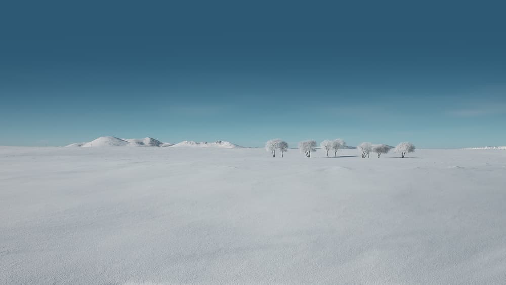 Frosted Winter Landscape by Bingo Z — canvas wall art