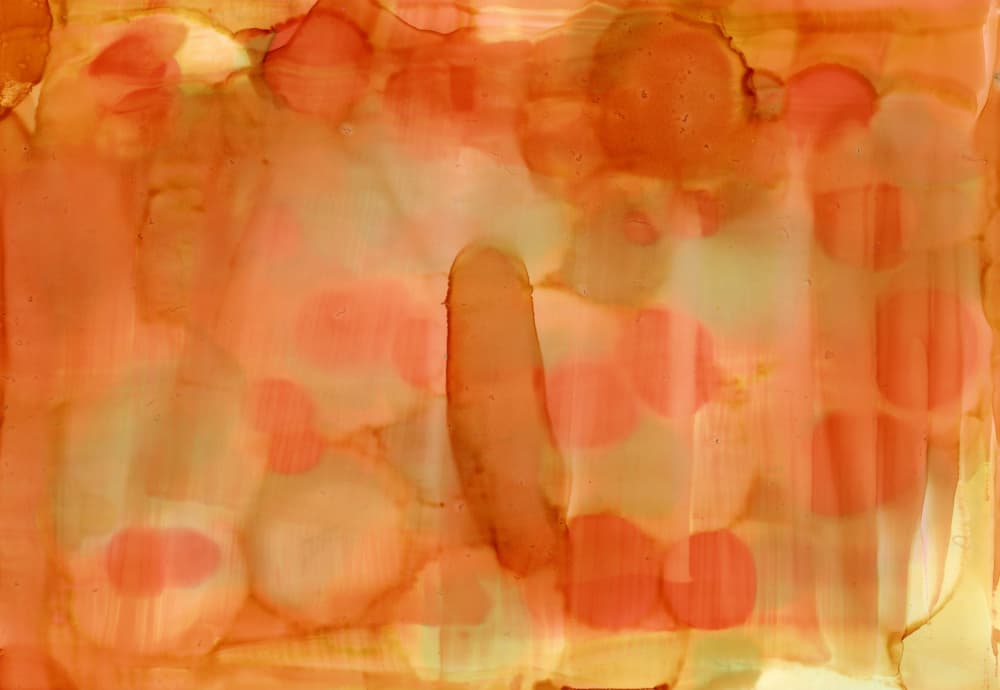 Vibrant Abstract Flow by Breanna Megan Studio — canvas wall art
