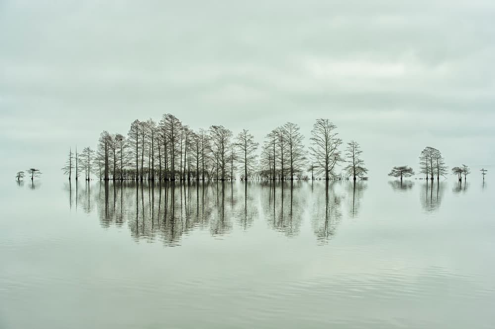 Serene Lake Reflections by Liyun Yu — canvas wall art