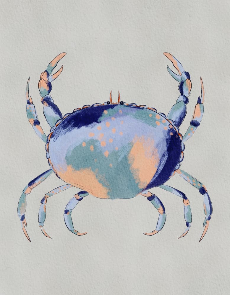 Serene Blue Crab by Nikita Jariwala — canvas wall art