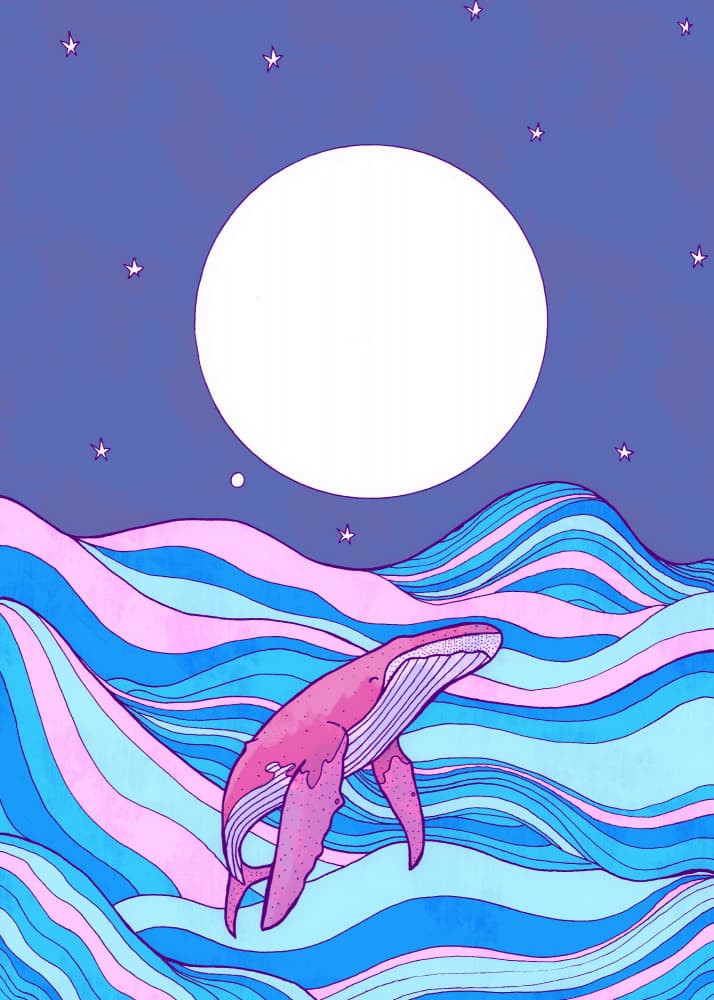 Pink Whale Moonlit Swim by Stephen Wade — canvas wall art