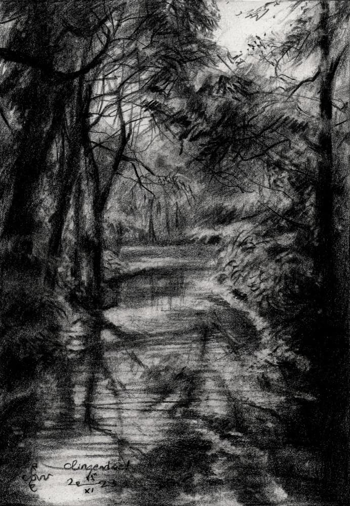 Shaded Forest Stream by Corné Akkers — canvas wall art