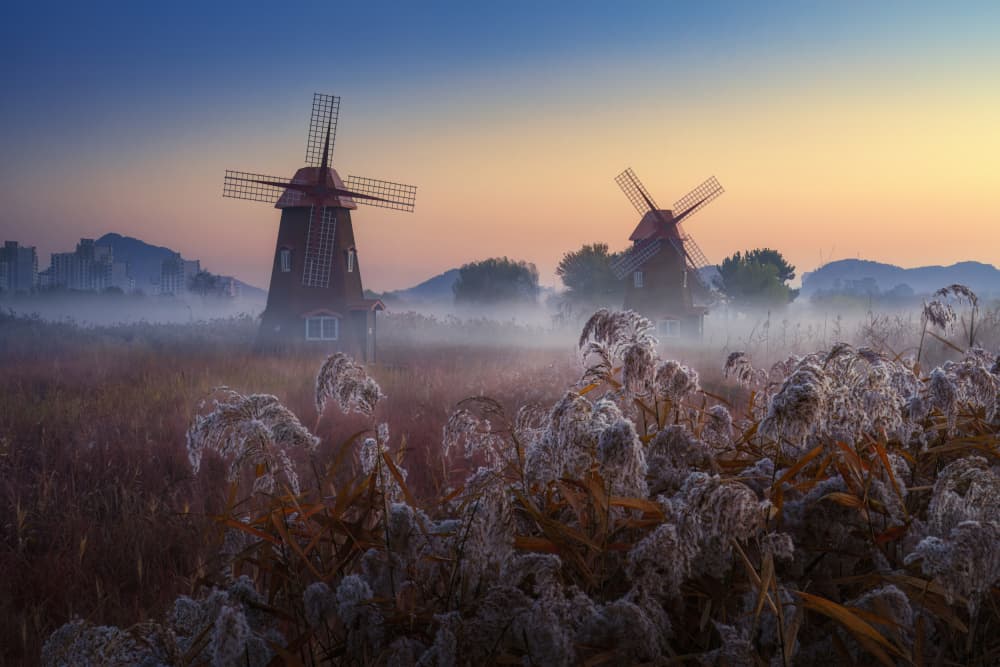Misty Windmills at Dawn by Tiger Seo — canvas wall art